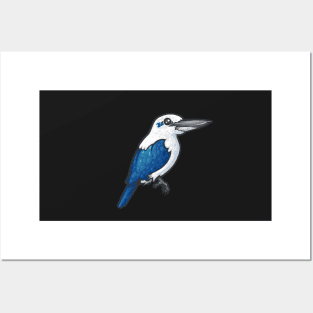 Beach Kingfisher Posters and Art